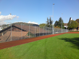 2010-haeggl-042.jpg